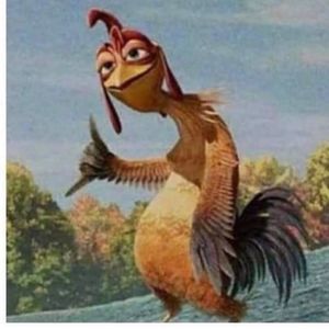 Meet your Posher, Hudson